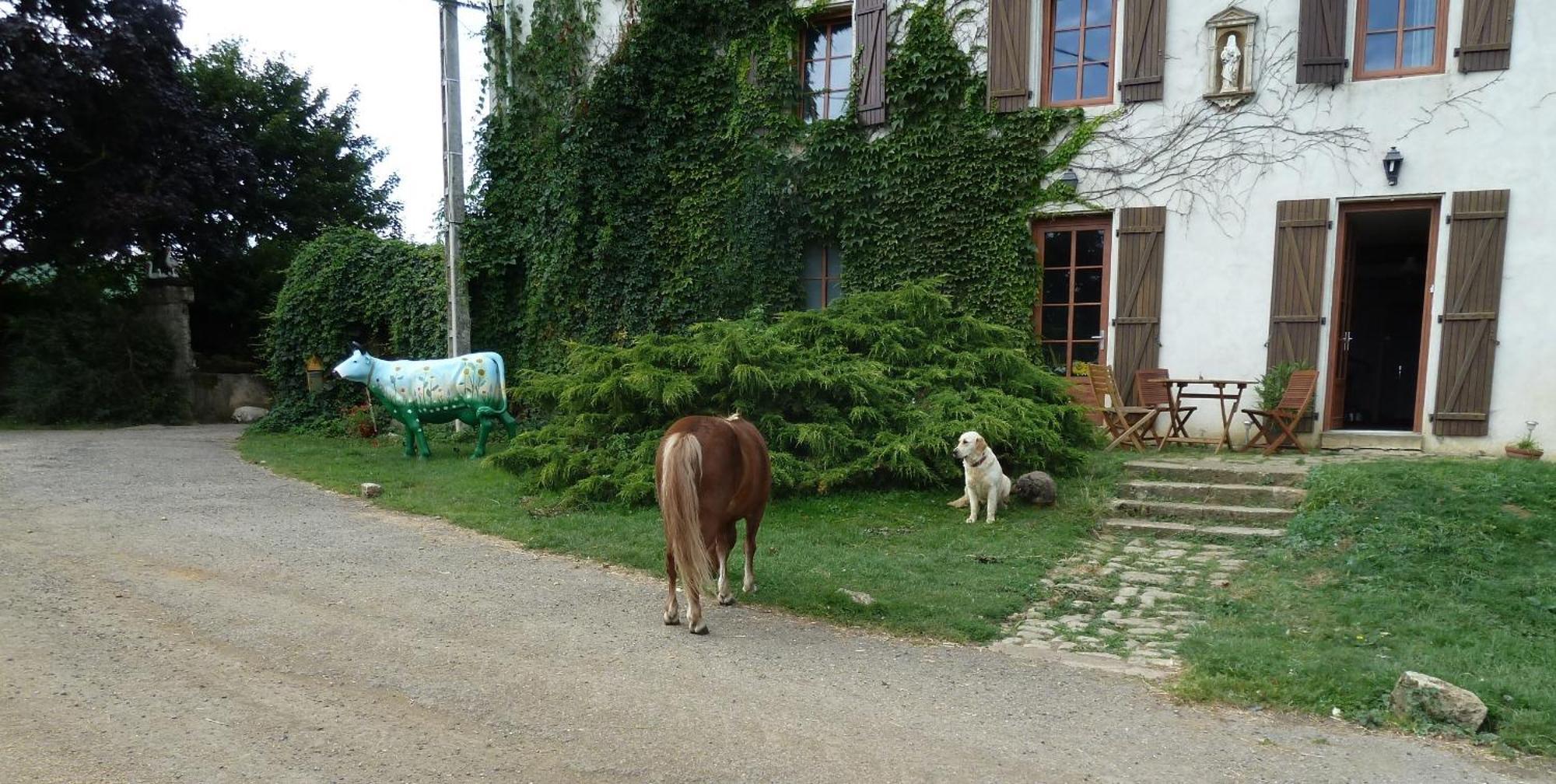 Ferme Du Montheu Bed & Breakfast Dommartin-sous-Amance Bagian luar foto